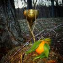 1 The First Spark 21 December 2018