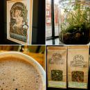 13 First Visit To The Herbalist 10 March 2018